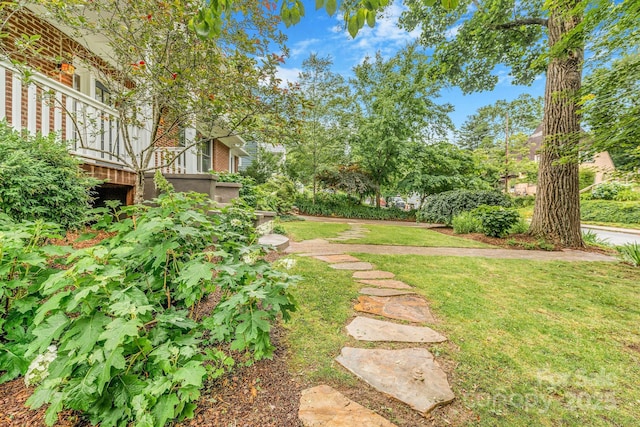 24 Warwick Rd, Asheville, NC 28803 - view of grassy yard