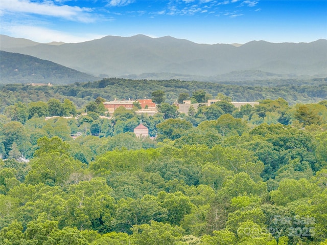 24 Warwick Rd, Asheville, NC 28803 - view of mountain backdrop with a forest