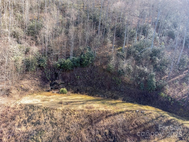 0 Swain Dr Unit 38A, Bryson City, NC 28713