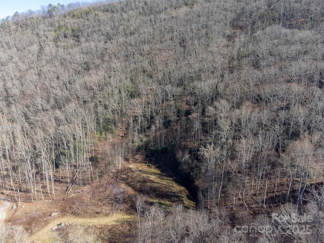 0 Swain Dr Unit 38A, Bryson City, NC 28713