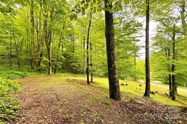 1495 El Miner Dr, Mars Hill, NC 28754 - view of nature