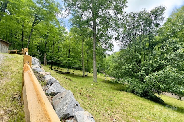 1495 El Miner Dr, Mars Hill, NC 28754 - view of grassy yard