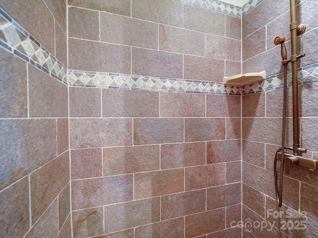 157 Old Hearth Rd, Clover, SC 29710 - bathroom featuring a tile shower