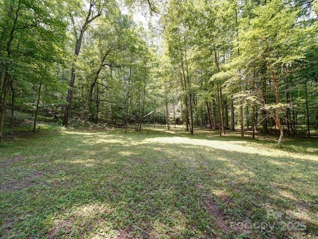 157 Old Hearth Rd, Clover, SC 29710 - view of green lawn with a view of trees