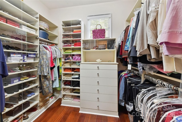2240 La Maison Dr, Charlotte, NC 28226 - spacious closet with wood finished floors
