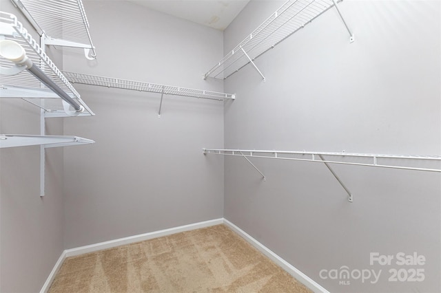 10198 Tintinhull Dr, Fort Mill, SC 29707 - walk in closet featuring carpet floors