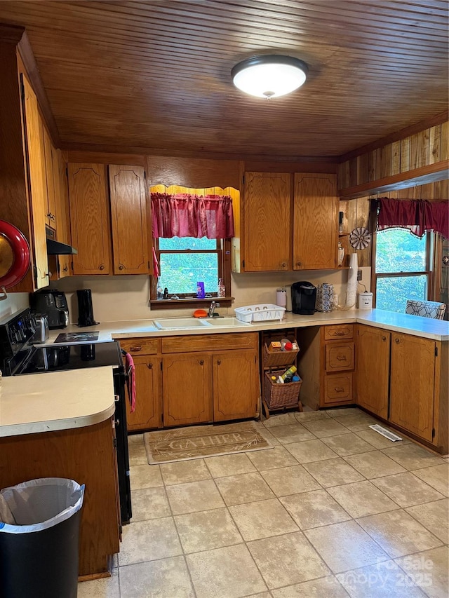 850AND830 E NC-152 Hwy E, China Grove, NC 28023 - kitchen with black / electric stove, light countertops, wooden ceiling, under cabinet range hood, and brown cabinetry