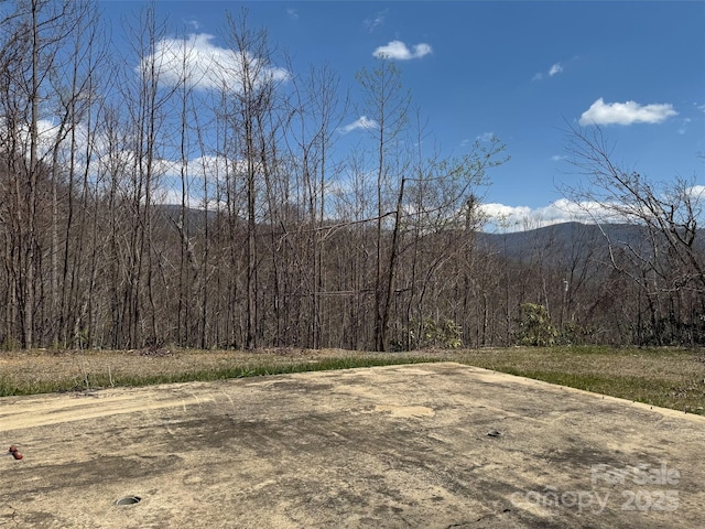 99999 Long Branch Rd Unit 2, Swannanoa, NC 28778