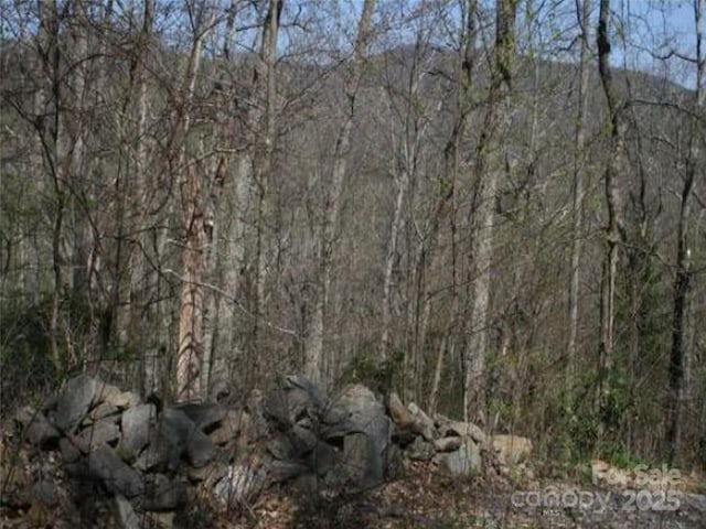 99999 Long Branch Rd Unit 2, Swannanoa, NC 28778