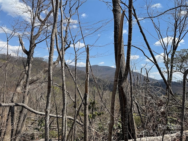99999 Long Branch Rd Unit 2, Swannanoa, NC 28778