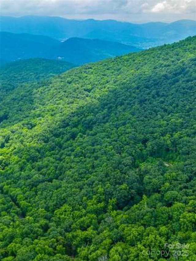 99999 Long Branch Rd Unit 2, Swannanoa, NC 28778