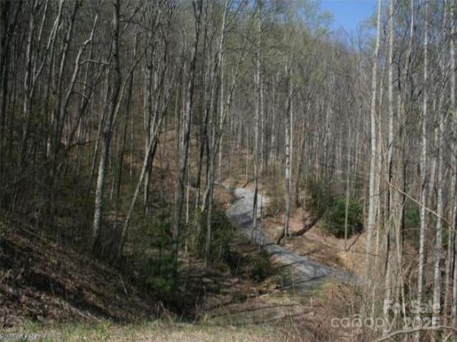 99999 Long Branch Rd Unit 2, Swannanoa, NC 28778