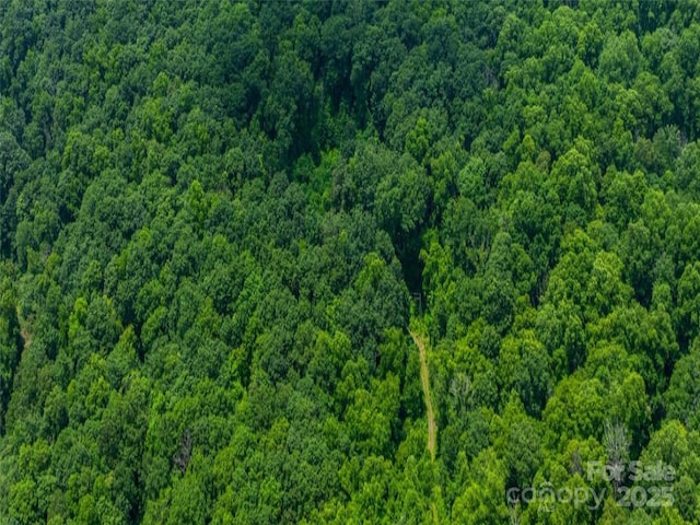 99999 Long Branch Rd Unit 2, Swannanoa, NC 28778