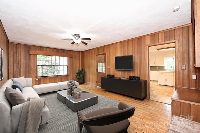 1961 Runnymede Ln, Charlotte, NC 28211 - living area featuring wood walls, ceiling fan, light wood-style flooring, and crown molding