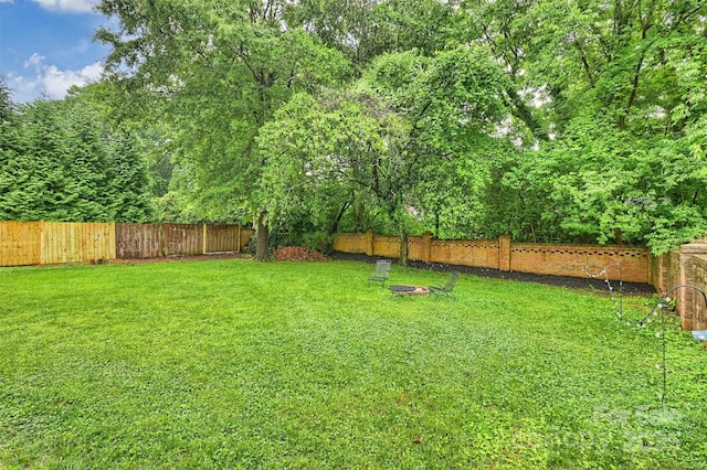 1961 Runnymede Ln, Charlotte, NC 28211 - view of yard