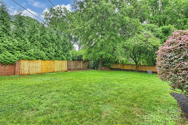 1961 Runnymede Ln, Charlotte, NC 28211 - view of yard