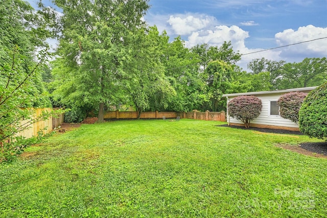 1961 Runnymede Ln, Charlotte, NC 28211 - view of yard