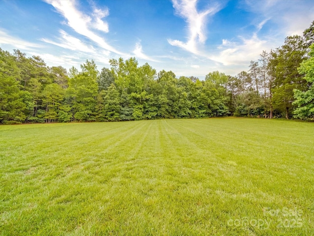 1060 S Lentz Harness Shop Rd, Mount Pleasant, NC 28124 - view of grassy yard with a view of trees