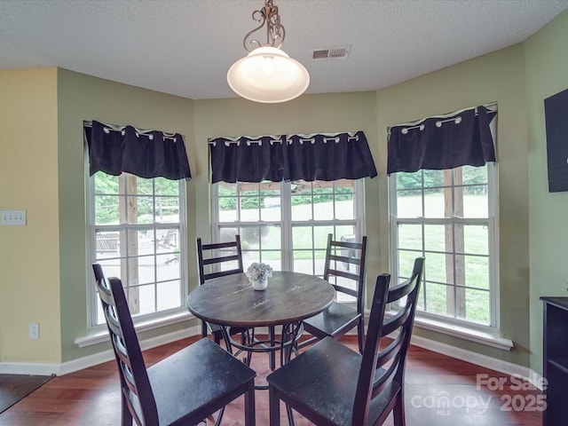 1060 S Lentz Harness Shop Rd, Mount Pleasant, NC 28124 - dining space featuring baseboards, plenty of natural light, wood finished floors, and a textured ceiling