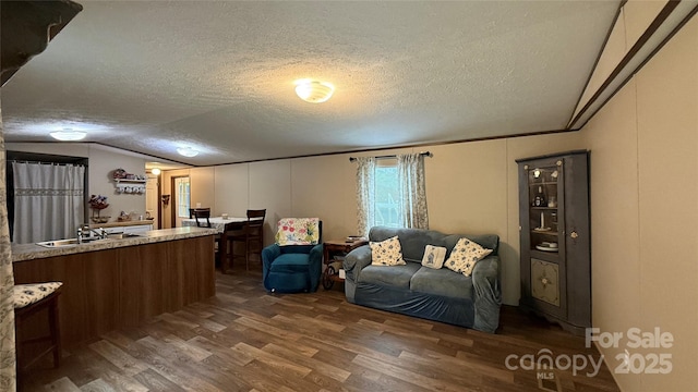 143 Hamilton Rd, Rutherfordton, NC 28139 - living room featuring dark wood-type flooring, vaulted ceiling, and a textured ceiling
