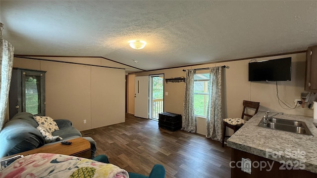 143 Hamilton Rd, Rutherfordton, NC 28139 - living room with vaulted ceiling, dark wood-style flooring, and a textured ceiling