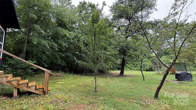 143 Hamilton Rd, Rutherfordton, NC 28139 - view of grassy yard with stairway