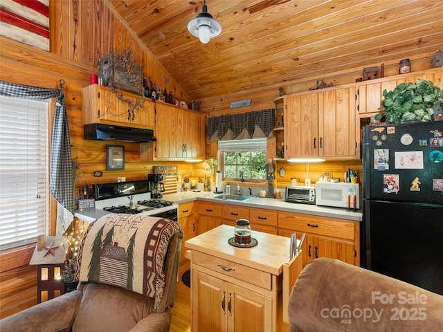 125 Cypress Ln, Saluda, NC 28773 - kitchen featuring freestanding refrigerator, under cabinet range hood, gas range, white microwave, and lofted ceiling