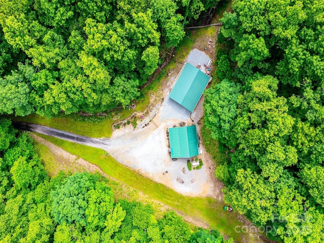 125 Cypress Ln, Saluda, NC 28773 - aerial overview of property's location