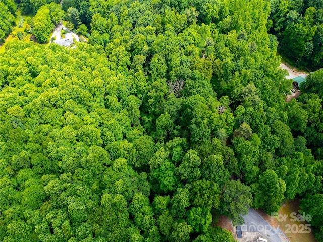 125 Cypress Ln, Saluda, NC 28773 - bird's eye view of a heavily wooded area