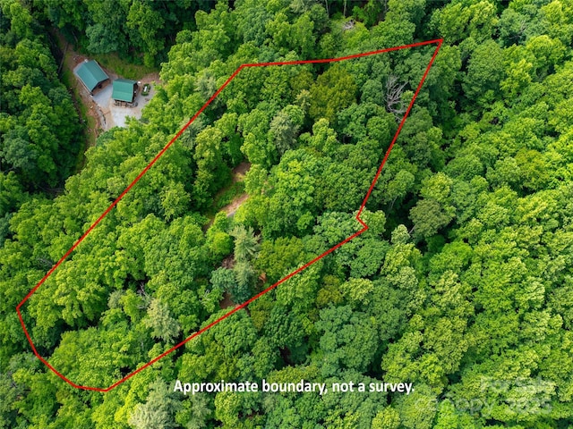 125 Cypress Ln, Saluda, NC 28773 - aerial overview of property's location featuring a forest and property boundaries highlighted