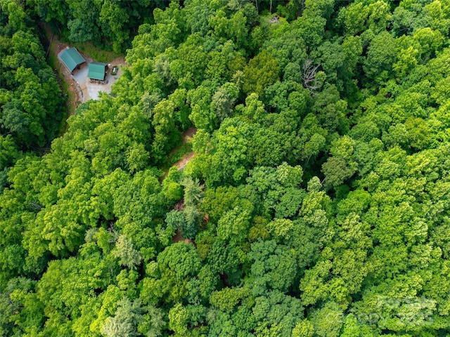 125 Cypress Ln, Saluda, NC 28773 - aerial overview of property's location with a heavily wooded area