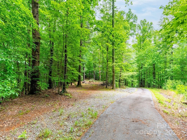 125 Cypress Ln, Saluda, NC 28773 - view of street with a forest view