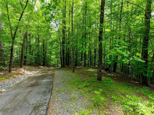 125 Cypress Ln, Saluda, NC 28773 - view of road featuring a wooded view
