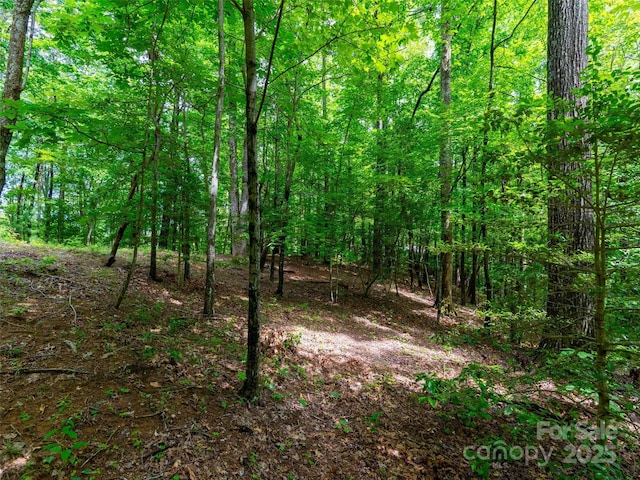 125 Cypress Ln, Saluda, NC 28773 - view of woods