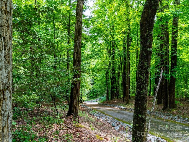 125 Cypress Ln, Saluda, NC 28773 - view of wooded area