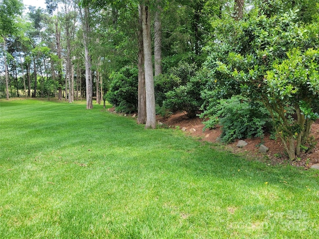 2777 Old S Ct NW, Concord, NC 28027 - view of grassy yard