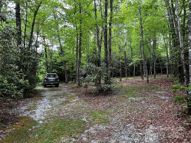 299 Mcintosh Rd, Lake Toxaway, NC 28747 - photo 4