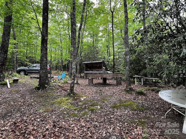 299 Mcintosh Rd, Lake Toxaway, NC 28747 - photo 9