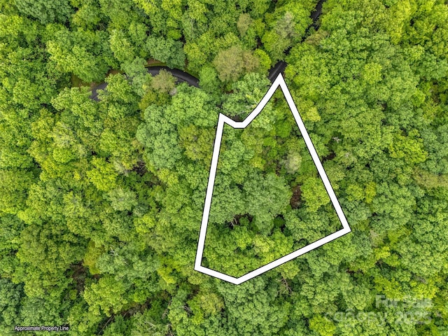 0 Quail Ridge Rd Unit 214, Rutherfordton, NC 28139