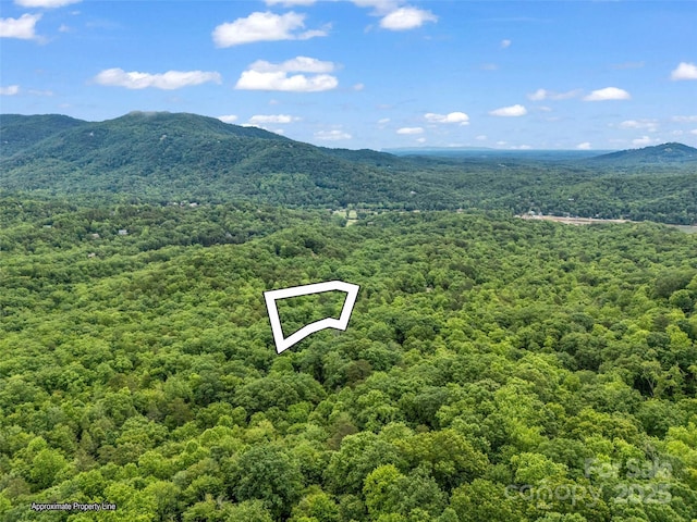 0 Quail Ridge Rd Unit 214, Rutherfordton, NC 28139