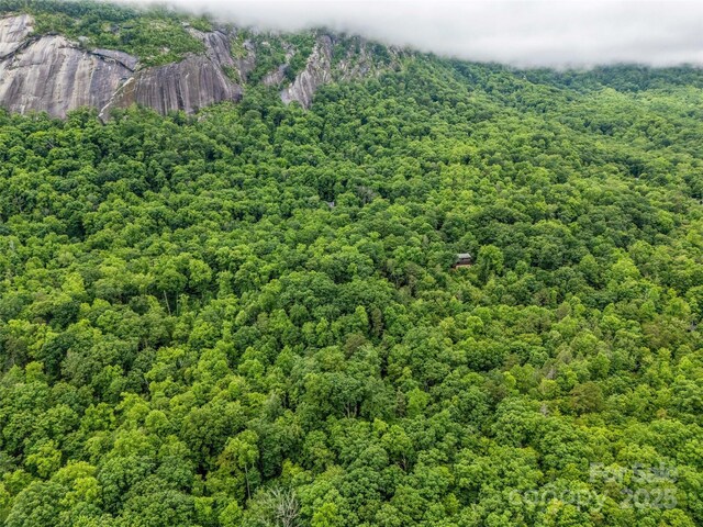 0 Quail Ridge Rd Unit 214, Rutherfordton, NC 28139