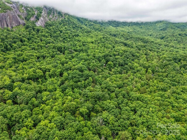 0 Quail Ridge Rd Unit 214, Rutherfordton, NC 28139