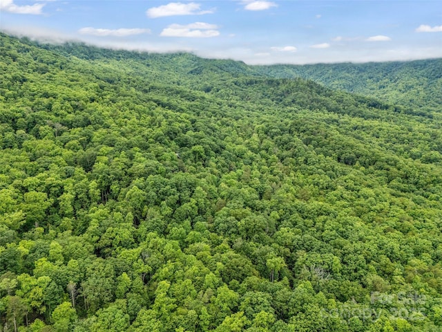 0 Quail Ridge Rd Unit 214, Rutherfordton, NC 28139