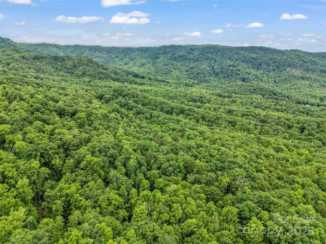 0 Quail Ridge Rd Unit 214, Rutherfordton, NC 28139