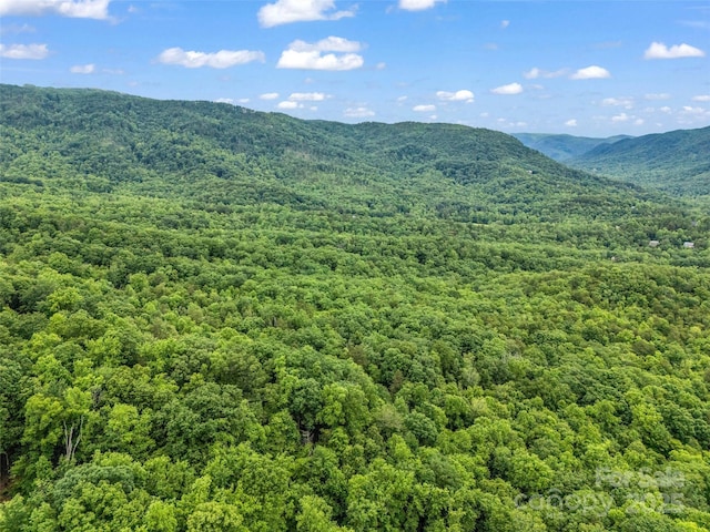 0 Quail Ridge Rd Unit 214, Rutherfordton, NC 28139