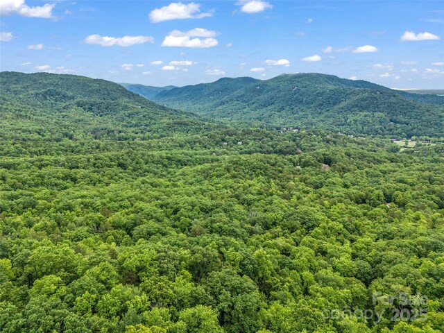 0 Quail Ridge Rd Unit 214, Rutherfordton, NC 28139