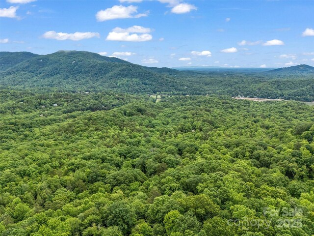 0 Quail Ridge Rd Unit 214, Rutherfordton, NC 28139