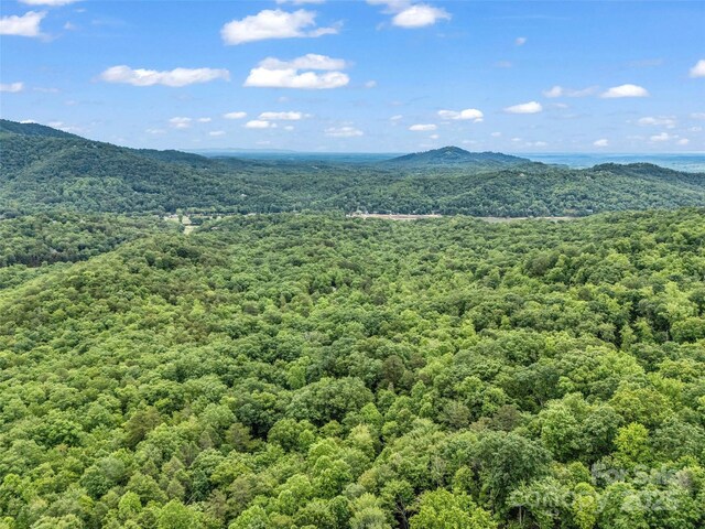 0 Quail Ridge Rd Unit 214, Rutherfordton, NC 28139