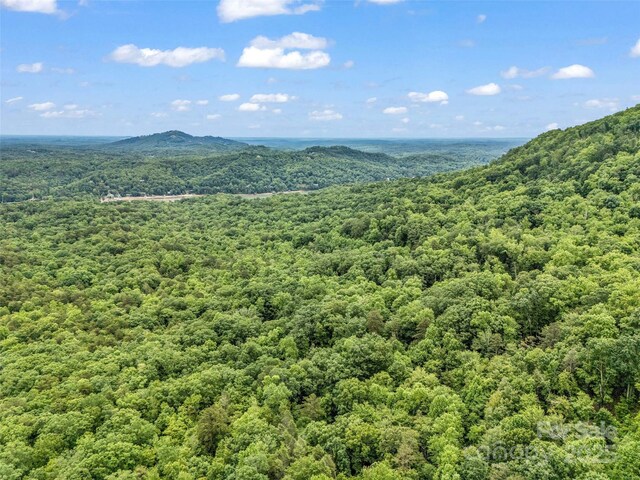 0 Quail Ridge Rd Unit 214, Rutherfordton, NC 28139