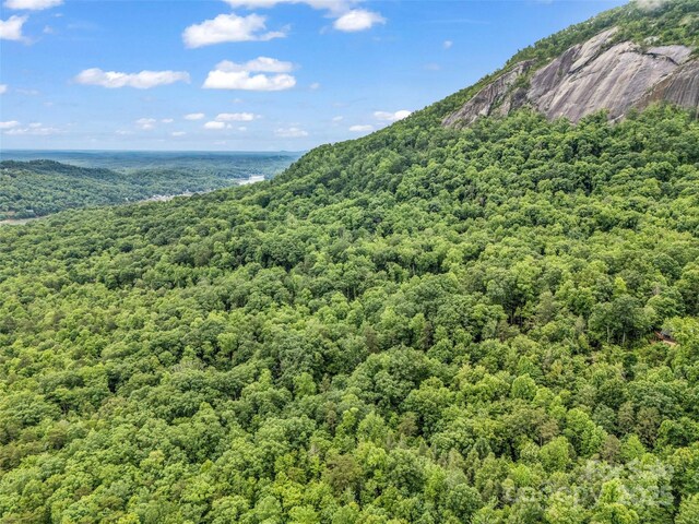 0 Quail Ridge Rd Unit 214, Rutherfordton, NC 28139